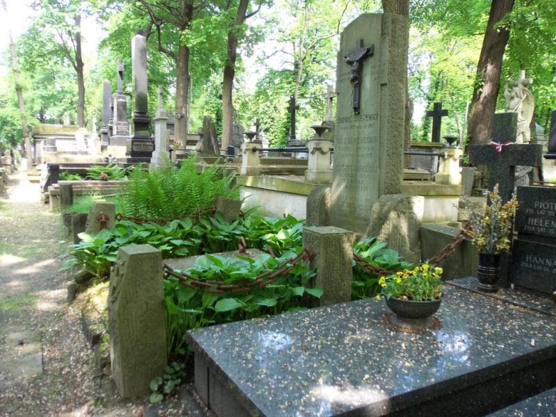 Zdjęcie grobu Karol Siarkiewicz (1)