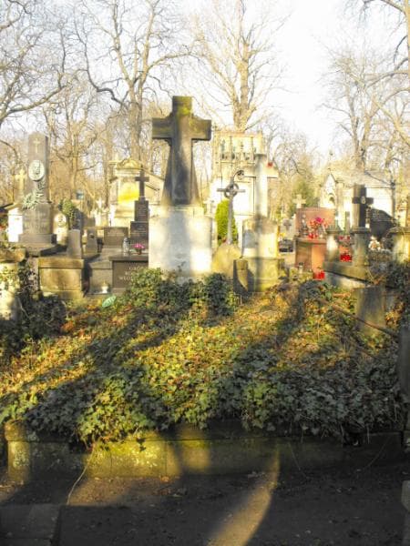 Zdjęcie grobu Marja Kryńska (2)