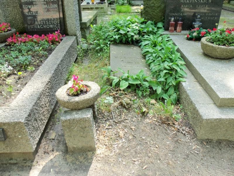 Zdjęcie grobu: Marceli Vormund