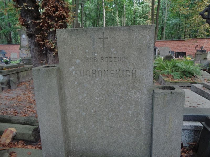 Zdjęcie grobu Stanisław Królikowski (2)