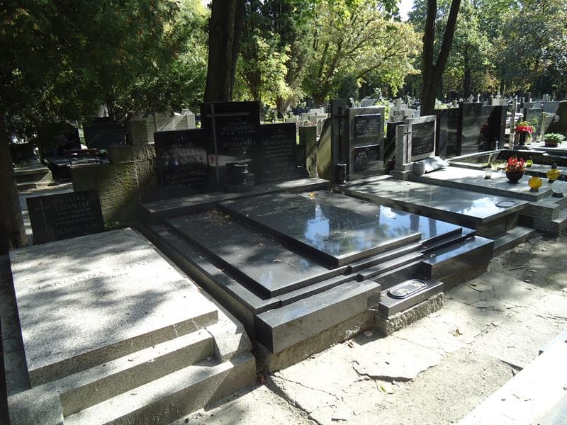 Zdjęcie grobu Aleksander Wędzikowski (1)