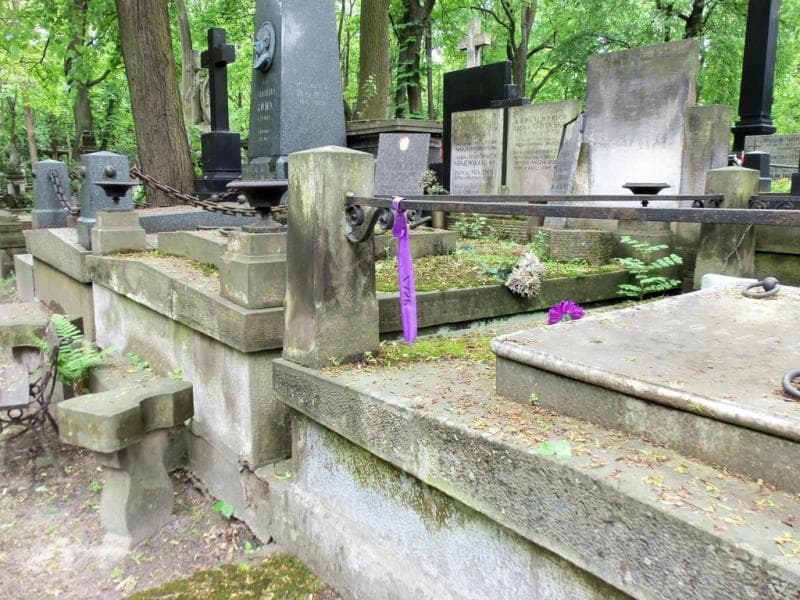 Zdjęcie grobu Laura Krajewska (1)