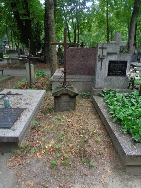 Zdjęcie grobu Eleonora Jakubowicz (1)
