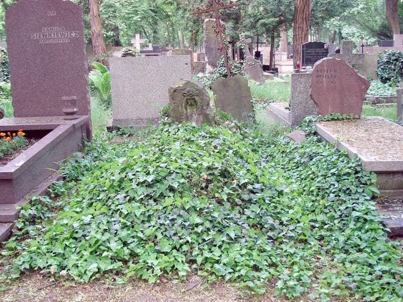 Zdjęcie grobu: Julianna Iwańska