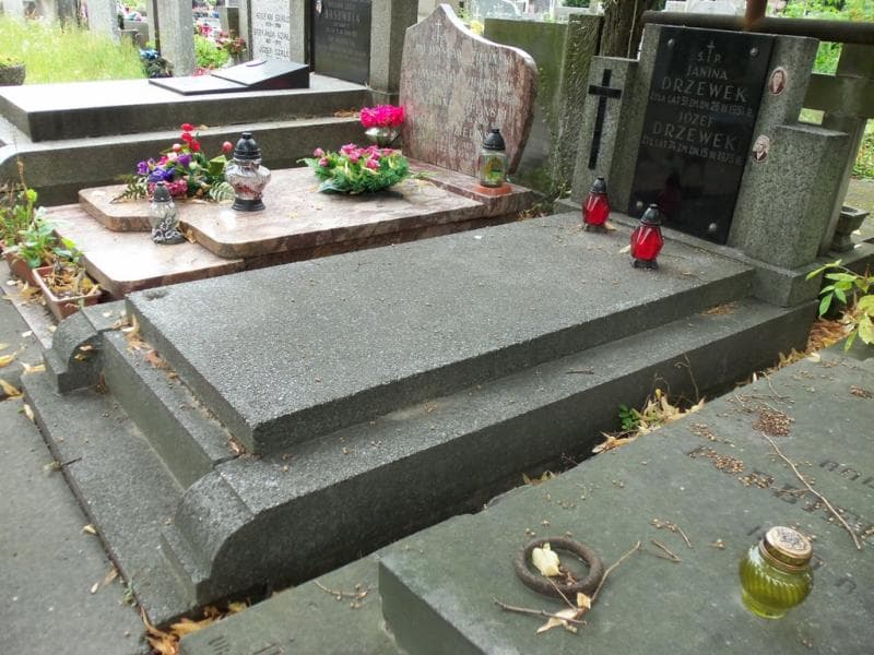 Zdjęcie grobu Józef Drzewek (1)