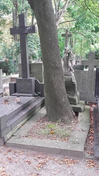Zdjęcie grobu: Wacław Cieszewski