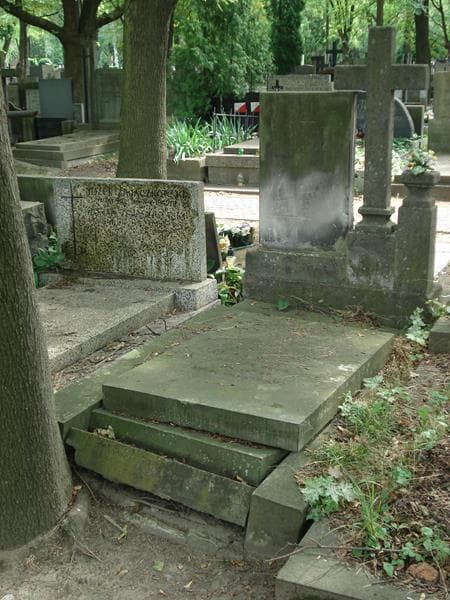 Zdjęcie grobu Arnold Alfred Bodek (1)