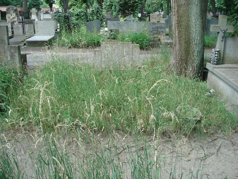 Zdjęcie grobu: Pole Grobowe
