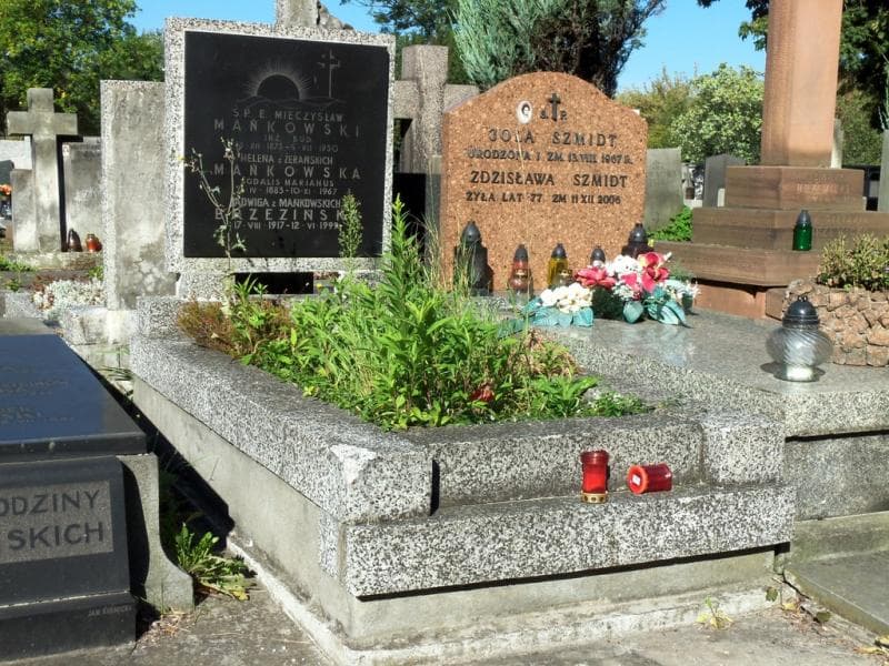 Zdjęcie grobu Jadwiga Brzezińska (1)
