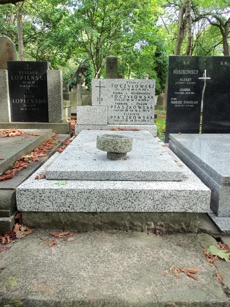 Zdjęcie grobu: Feliks Toczyłowski