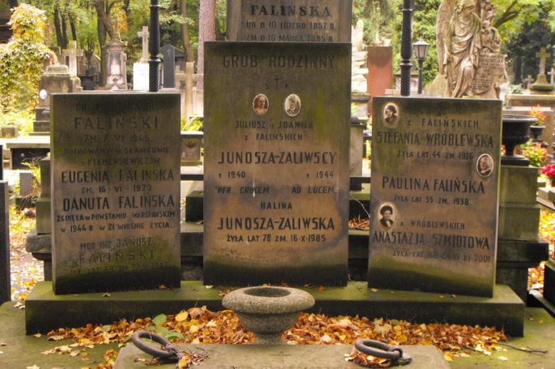 Zdjęcie grobu Stefania Wróblewska (2)