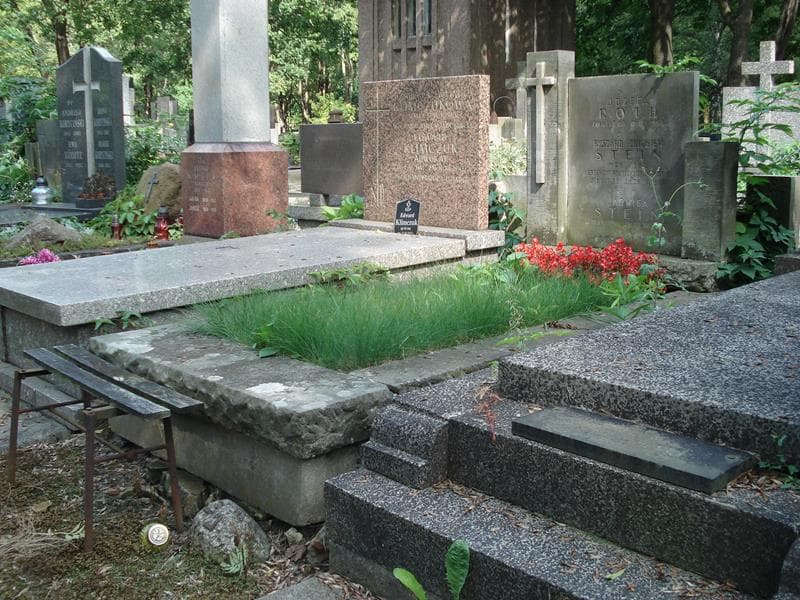 Zdjęcie grobu Józefa Roth (1)