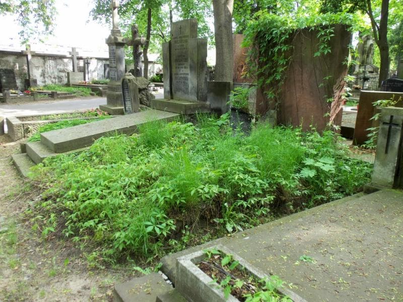 Zdjęcie grobu Pole Grobowe (1)