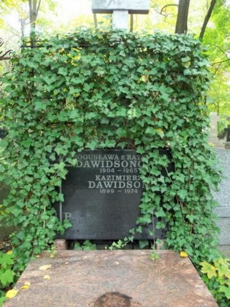 Zdjęcie grobu Bogusława Dawidsonowa (2)