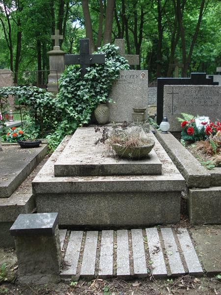 Zdjęcie grobu: Henryk Beczek