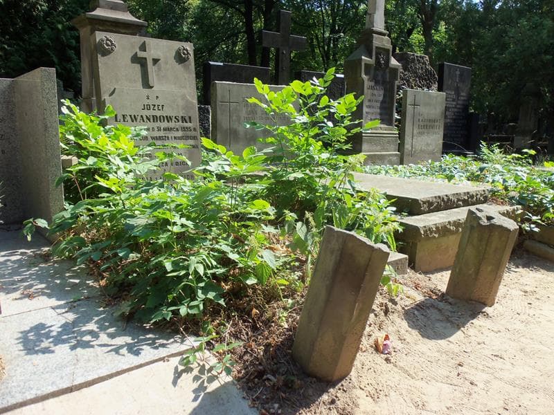 Zdjęcie grobu Józef Lewandowski (1)