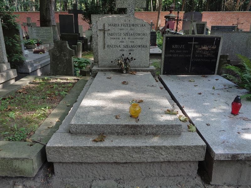 Zdjęcie grobu Tadeusz Szelągowski (1)