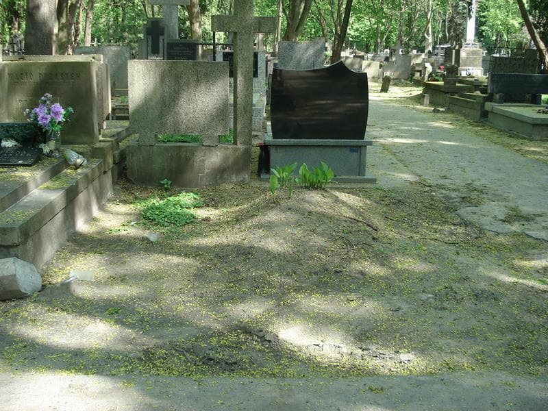 Zdjęcie grobu: Anonim