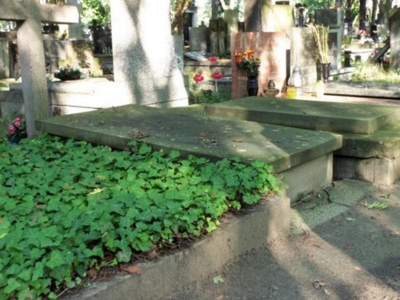Zdjęcie grobu Lech Pogorzelski (1)