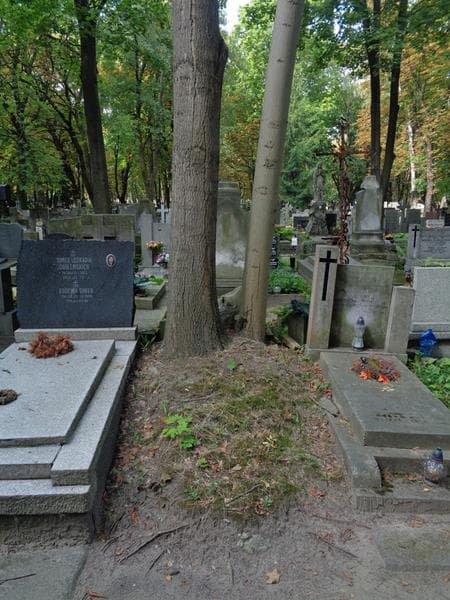 Zdjęcie grobu Pole Grobowe (1)