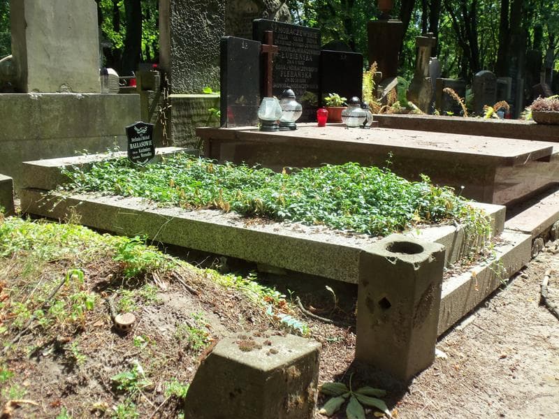Zdjęcie grobu Stefania Bałłas (1)
