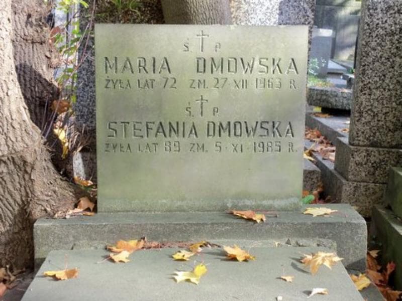 Zdjęcie grobu Maria Dmowska (2)