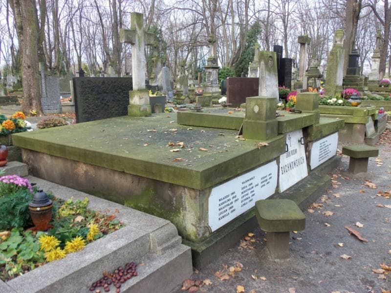 Zdjęcie grobu Zofia Chodkowska (1)