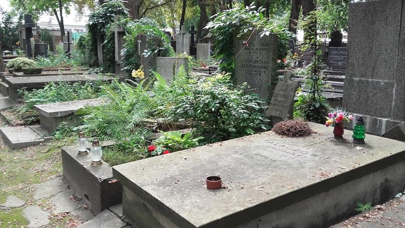 Zdjęcie grobu: Ada Tymanowa