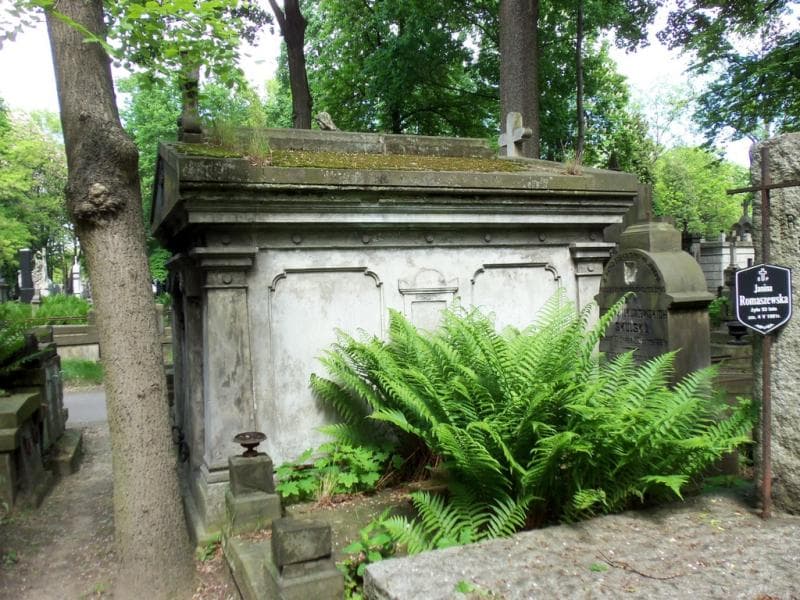 Zdjęcie grobu Anna Jankowska (1)