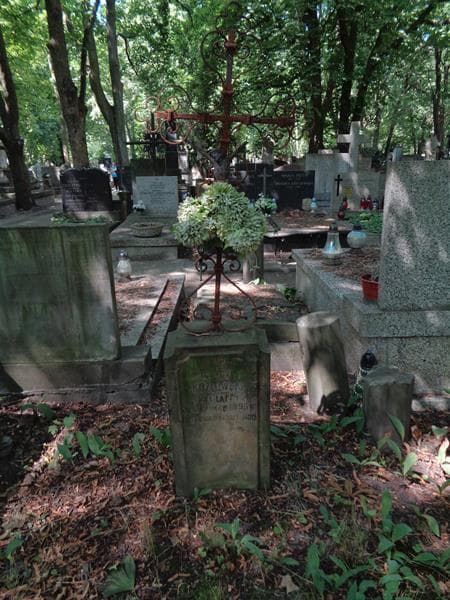 Zdjęcie grobu Ignacy Kozłowski (2)
