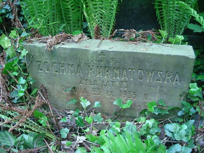 Zdjęcie grobu Zochna Kurnatowska (1)