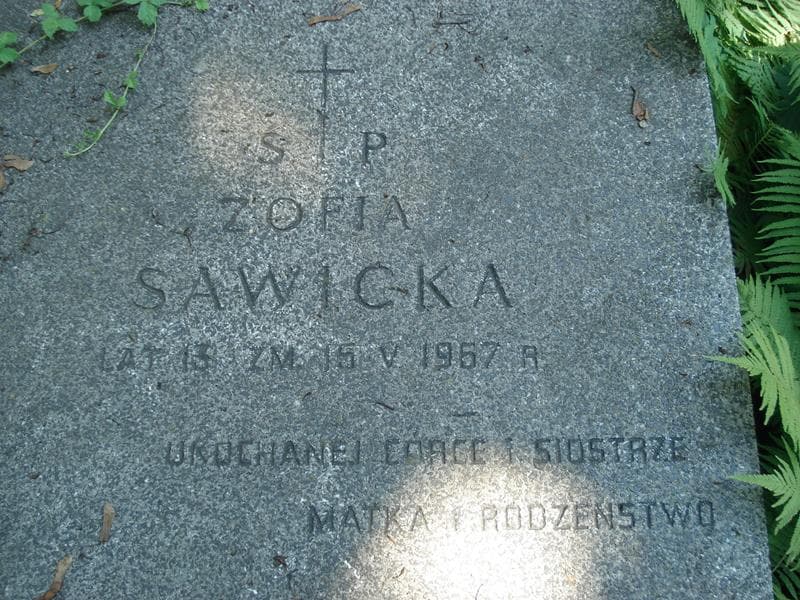 Zdjęcie grobu Zofia Sawicka (1)