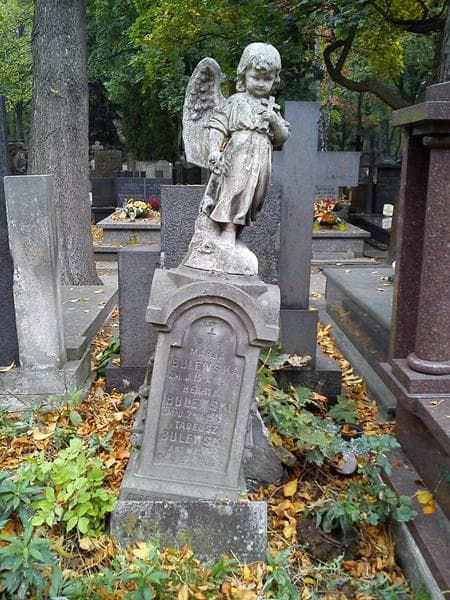 Zdjęcie grobu Henryk Bulewski (2)