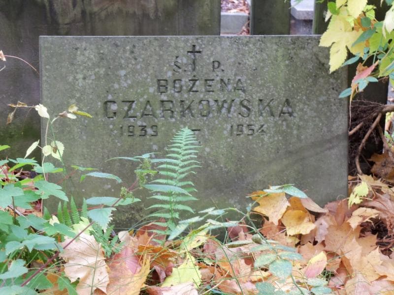 Zdjęcie grobu Bożena Czarkowska (2)