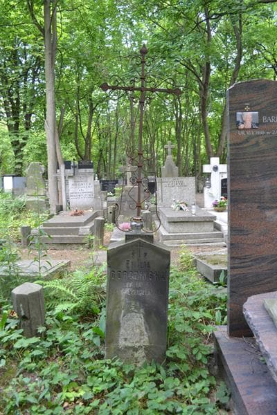 Zdjęcie grobu Emilja Gorczyńska (2)
