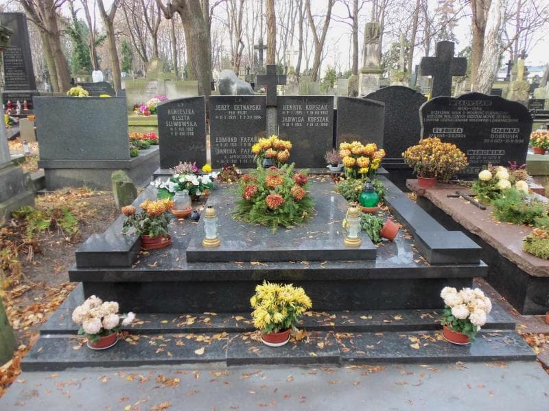 Zdjęcie grobu: Agnieszka Olszta Śliwowska