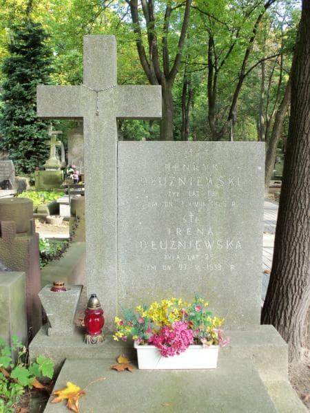Zdjęcie grobu Henryk Dłużniewski (2)