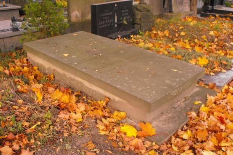 Zdjęcie grobu Stanisław Duszniak (2)