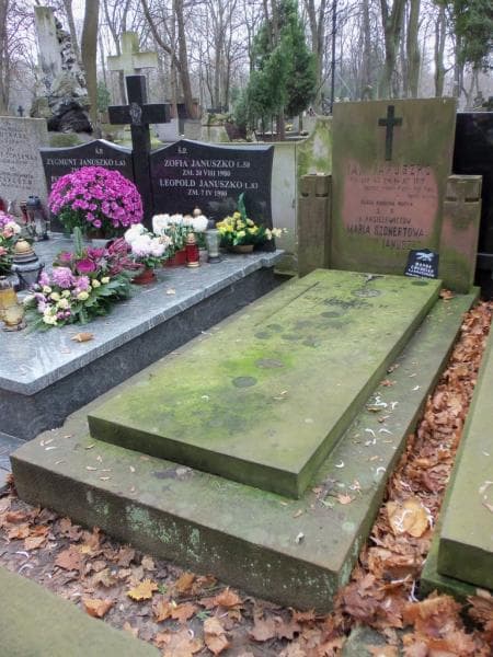 Zdjęcie grobu Jan Januszko (1)