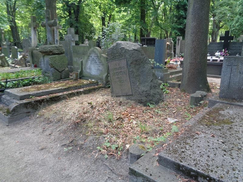 Zdjęcie grobu: Aleksander Adamowicz