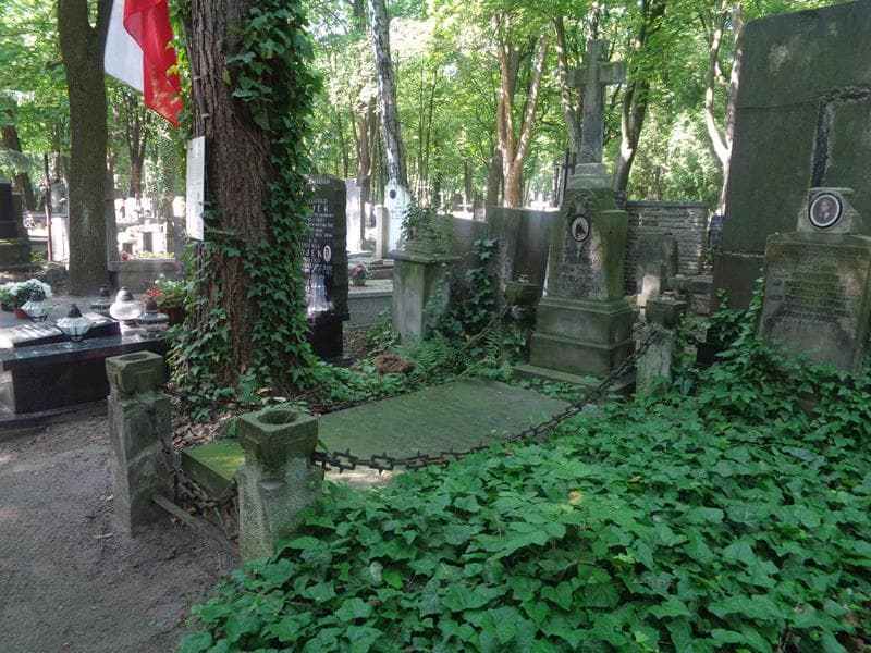 Zdjęcie grobu: Stanisława Szegidewiczowa