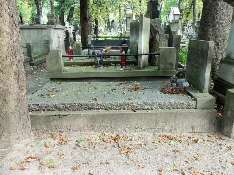 Zdjęcie grobu Franciszek Piekarski (1)