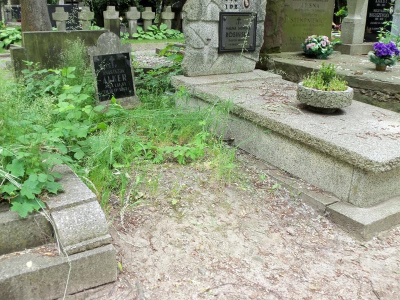 Zdjęcie grobu Anastazja Alker (1)