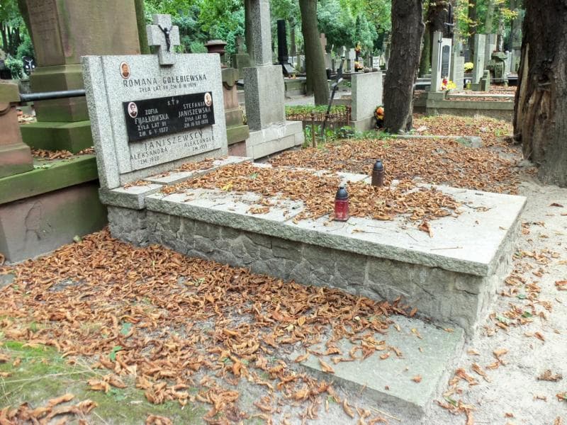 Zdjęcie grobu Aleksander Janiszewski (1)