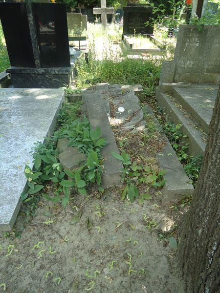 Zdjęcie grobu: Stanisława Bartkowiak