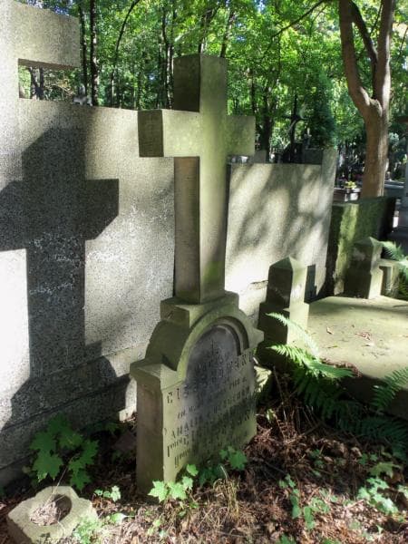 Zdjęcie grobu Wacław Cieszkowski (2)