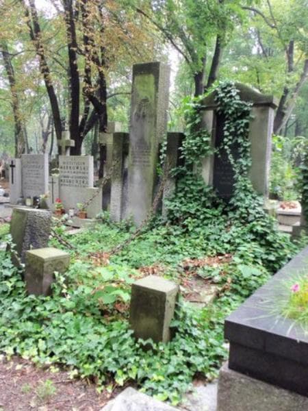 Zdjęcie grobu Bronisława Jarzęcka (1)