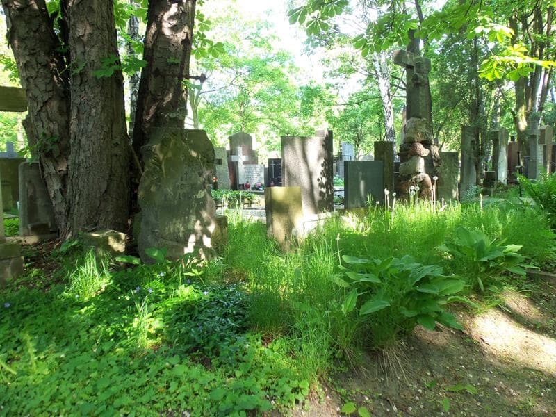 Zdjęcie grobu Henryk Kozłowski (1)