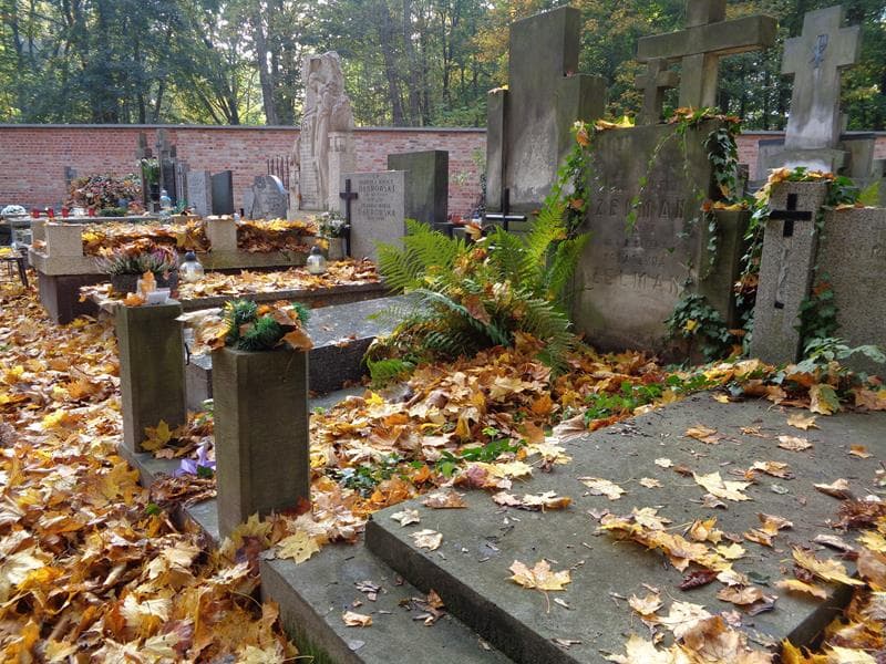 Zdjęcie grobu: Konstanty Zelman