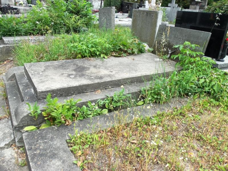 Zdjęcie grobu Michalina Wysocka (1)